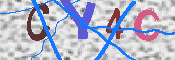 キャプチャ画像